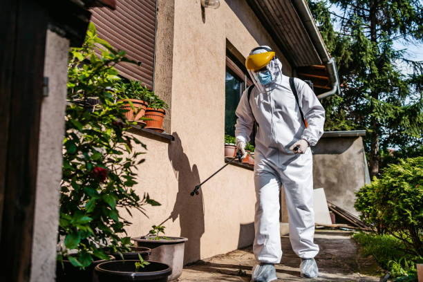 Best Pest Removal Services  in Glasgow Village, MO