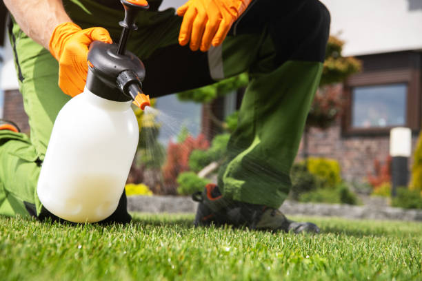 Best Best Pest Control Companies  in Glasgow Village, MO