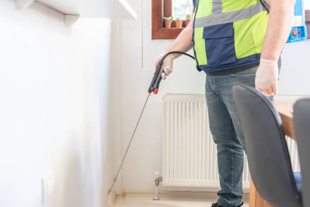 Best Flea Control Services  in Glasgow Village, MO
