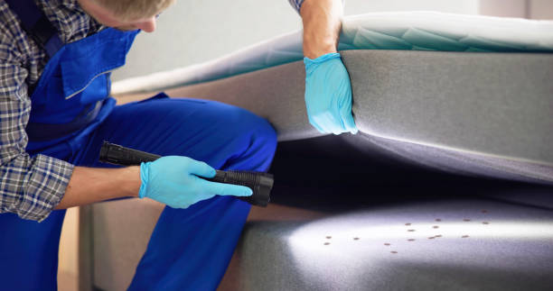 Best Pest Prevention Services  in Glasgow Village, MO