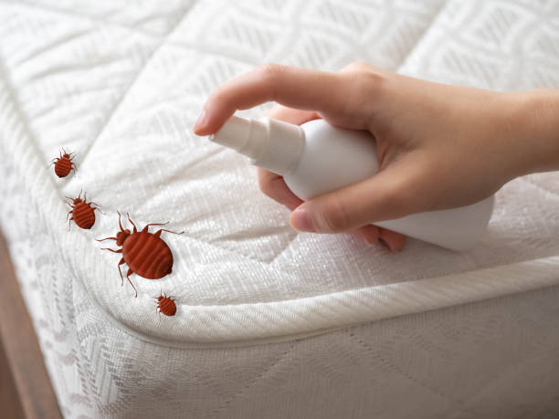 Best Mosquito Control Services  in Glasgow Village, MO
